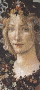 Sandro Botticelli Primavera (mk36) oil on canvas